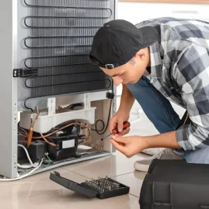 fridge repair service